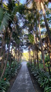 2024-01-GranCan-Jardin_de_la_Marquesa-057.jpg